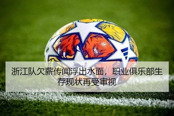 浙江队欠薪传闻浮出水面，职业俱乐部生存现状再受审视